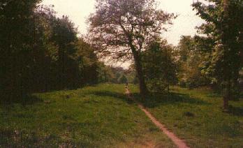 The Grove in 1997