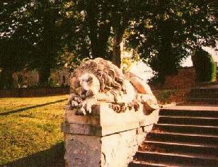 Clifton Lion