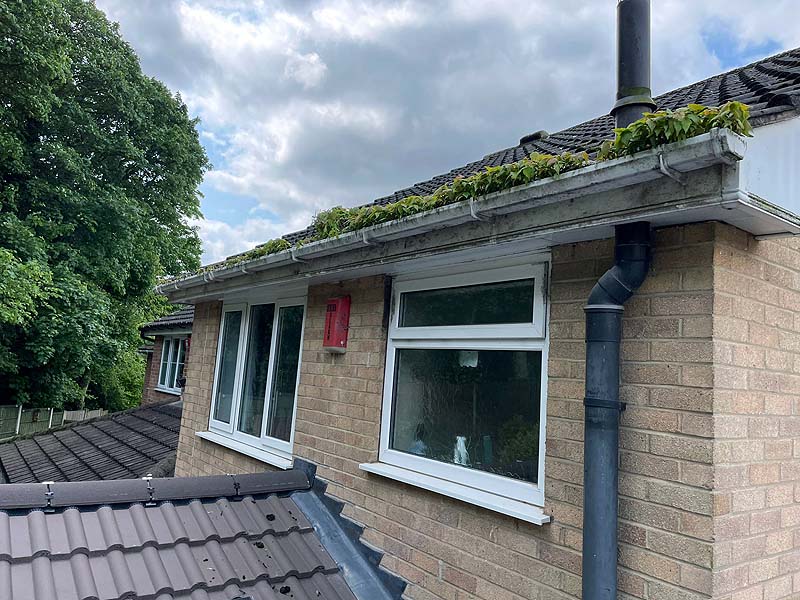 Fascia, Soffit & Gutter Cleaning - Before