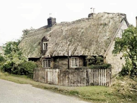 Elliott's Tea Gardens - Clifton Village