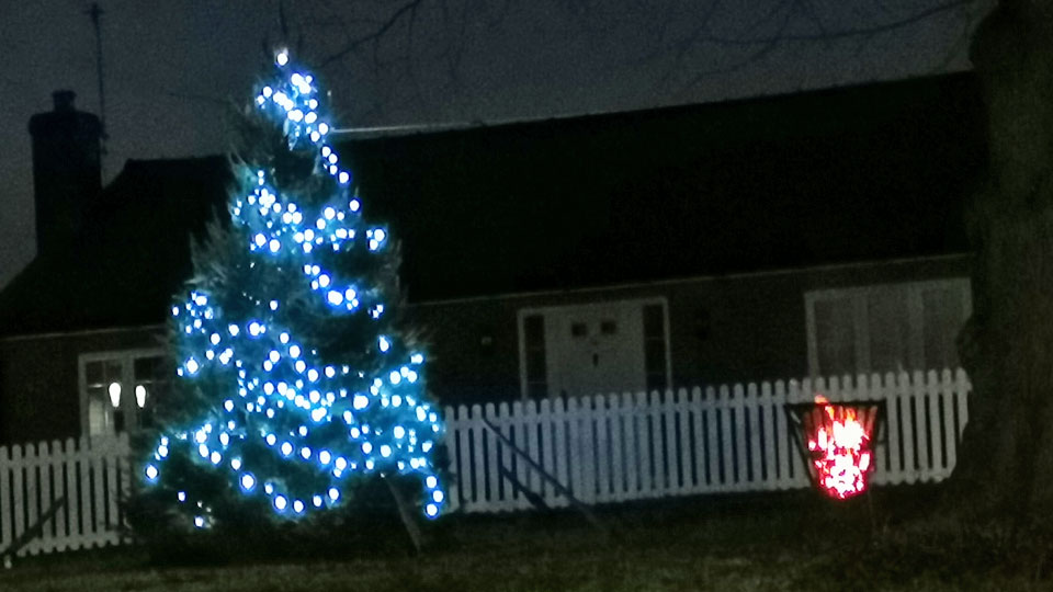 Christmas Tree Lighting